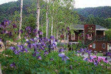 나무이야기 펜션 리솜 포레스트