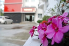 파라다이스모텔