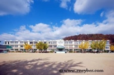 매포초등학교