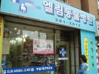 엘림동물병원