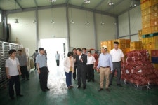 새아침영농조합법인