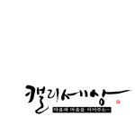캘리세상