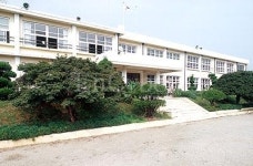 불갑초등학교