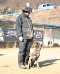 대구애견스쿨