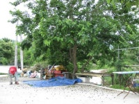 새희망누에농장