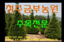 금부농원