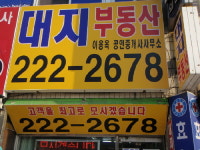 대지공인중개사