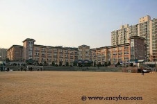 연성중학교