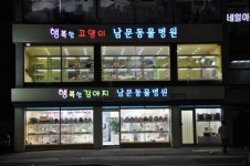 남문동물병원