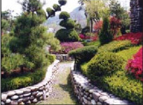 대림조경