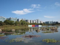 바이일산공인중개사사무소