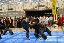 특공무술 벼리도장