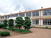 채운초등학교