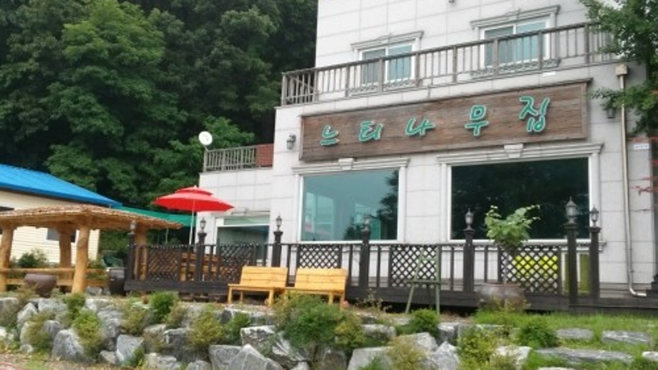 느티나무집