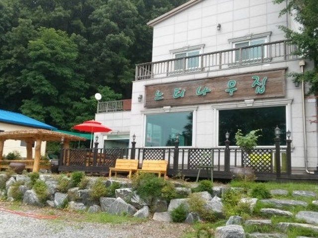 느티나무집