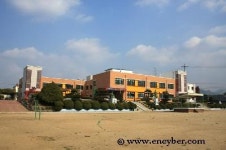 용봉초등학교