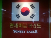 연세이글태권도