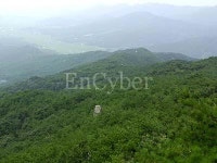 덕숭산