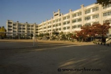 대구관광고등학교