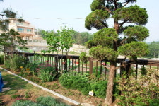 플라워펜션타운