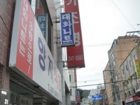 대화니트