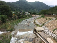 원동천년의미소
