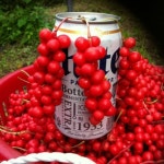 영양도뭇골오미자농원