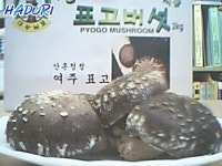 산촌농원