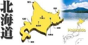 동경결혼정보