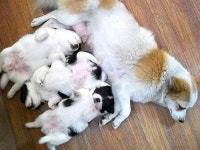 경기공인중개사사무소