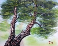 밥로스 유화그리기