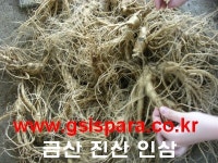 금산진산인삼