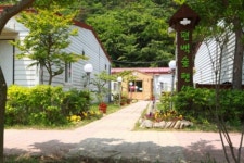 편백숲민박