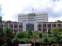 전남과학대학교