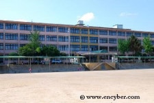 성남수정초등학교
