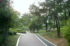 롯데공인중개사사무소