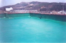 한지붕21