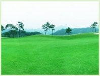 엘리시안강촌CC