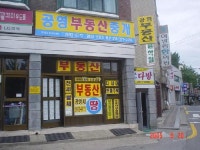 공영부동산