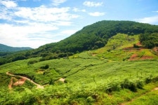 지리산시루봉농장