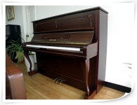 새한종합피아노사