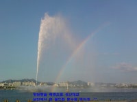 천리포공인중개사사무소