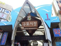 선댄스스포츠