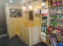 개팔자상팔자애견샵