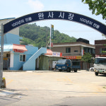 완사시장