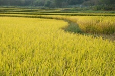 럭키공인중개사사무소