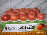 춘산사랑