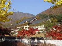 문경새재도립공원옛길박물관