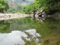 느티나무민박