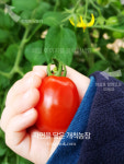 개척농장